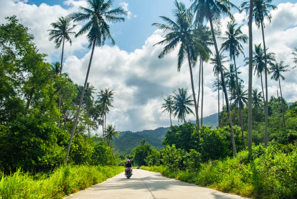 istock Riding scooter through jungles in Thailand, Koh Samui 1190335902