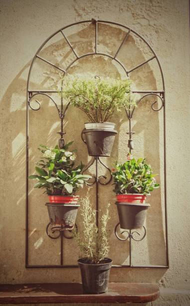 istock Decoration with plants and flowers 1190335980