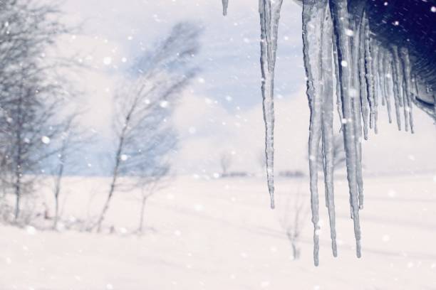 winter scenery with hanging icicles and white landscape on the background - january winter icicle snowing imagens e fotografias de stock