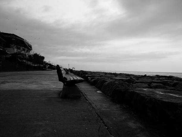 istock B&W Natural animals, sea, crow, landscape 1190348262
