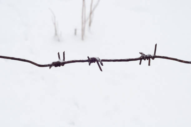 istock Barbed wire is covered with white pure snow. 1190352397