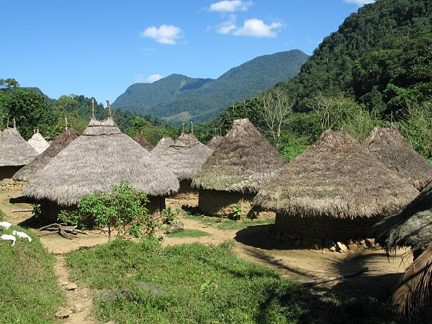 istock Tayrona Indian Village 119035284