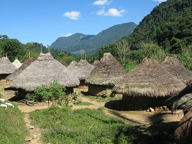 Tayrona Indian Village stock photo