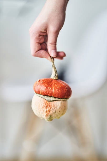 istock Mushroom-shaped decorative pumpkin 1190354163