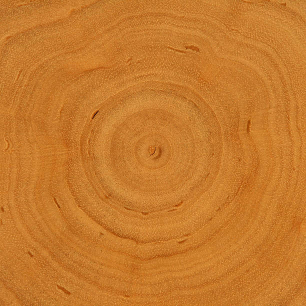 istock Growth Rings - Wooden Background 119035531