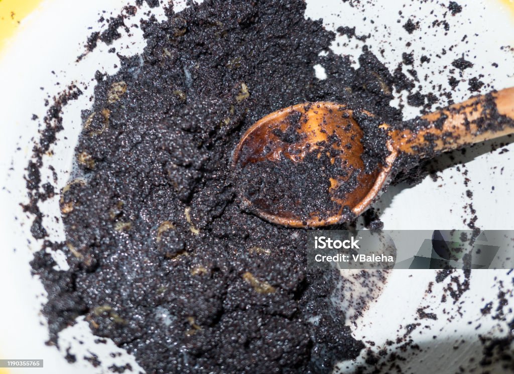 Pasta De Semillas De Amapola Para Rellenar Pasteles Foto de stock y más banco de imágenes de Amapola - Planta - iStock Pasta De Semillas De Amapola Para Rellenar Pasteles Foto de stock y más banco de imágenes de Amapola - Planta - iStock