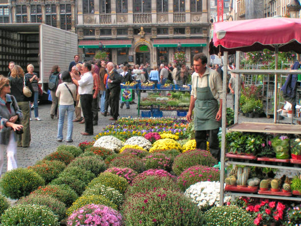 mercato dei fiori bruxelles belgio - brussels belgium market flower market foto e immagini stock