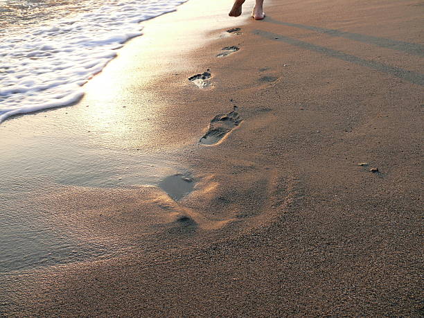 istock Fresh footprint in the surf line 119036105