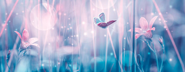 istock Dreamy spring bellflowers bloom, butterfly close-up, sunlight panorama. Spring floral mixed media art. Delicate artistic toned image. Pastel blue pink toned. Macro with soft focus. Nature background 1190362608