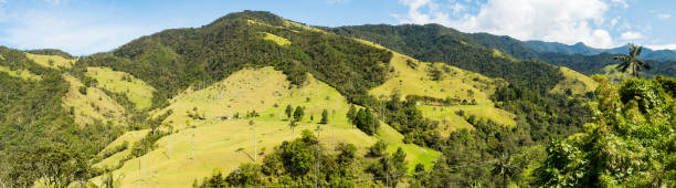 istock Panoramic view of Cocora Valley in Colombia 1190366622