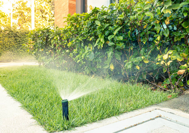 Automatic sprinkler system watering stock photo