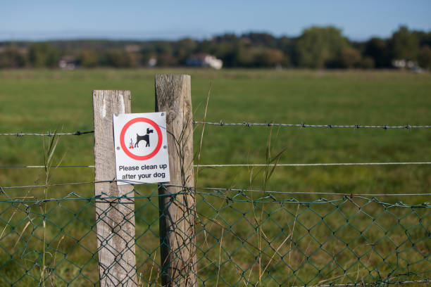 istock Information board with a ban on dog pooping 1190367046