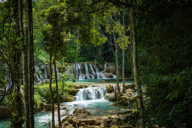 istock Tad Sae Waterfall in Luang prabang province, Laos. 1190369308