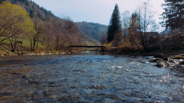 Photo of Shooting along the flowing water of a mountain river to the small bridge.