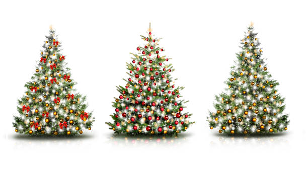 istock Three beautiful decorated christmas tress cut out 1190369659