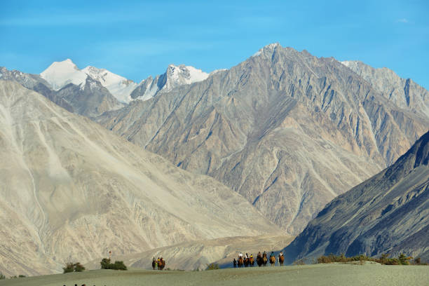 istock Hunder sand dunes in Nubra Valley, Ladakh, India. 1190373585