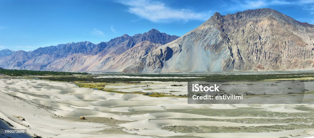 Hunder sand dunes in Nubra Valley, Ladakh, India. Nature landscape of Hunder sand dunes in Himalayas with brown gray mountain background in Nubra Valley, Ladakh, India. Asia Stock Photo