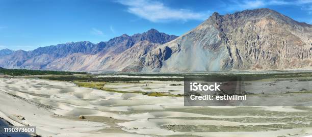 Hunder Sand Dunes In Nubra Valley Ladakh India Stock Photo - Download Image Now - Asia, Backgrounds, Beauty