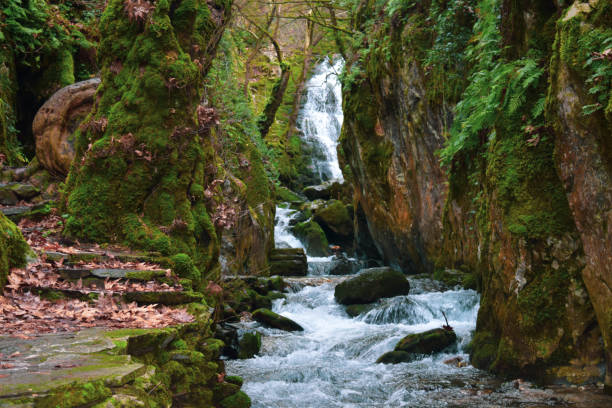 istock Ayazma National Park in Ida Mountains 1190373861