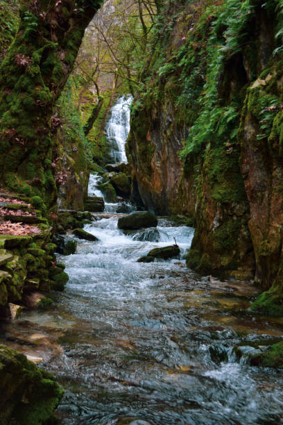 istock Ayazma National Park in Ida Mountains 1190374442