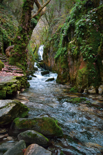 istock Ayazma National Park in Ida Mountains 1190375389