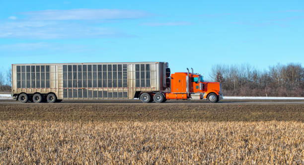 istock Heavy cargo on the Road 1190375803