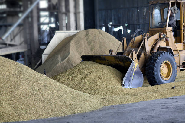 istock Agriculture: Largest Paddy Factory in Selangor, Malaysia 1190382664