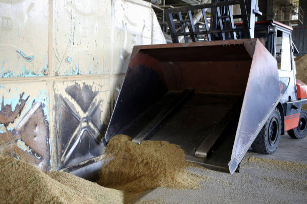 istock Agriculture: Largest Paddy Factory in Selangor, Malaysia 1190383654