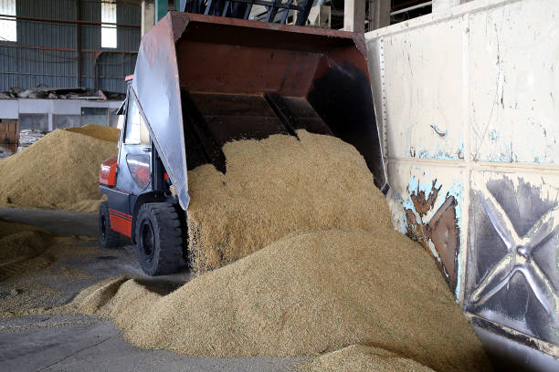 istock Agriculture: Largest Paddy Factory in Selangor, Malaysia 1190383745
