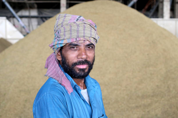 istock Agreculture: Largest Paddy Factory in Selangor, Malaysia 1190383823
