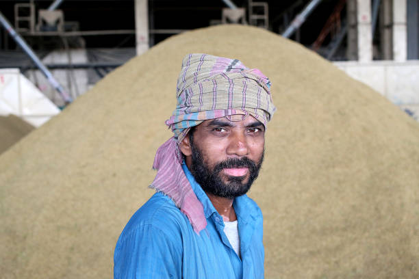istock Agreculture: Largest Paddy Factory in Selangor, Malaysia 1190383919