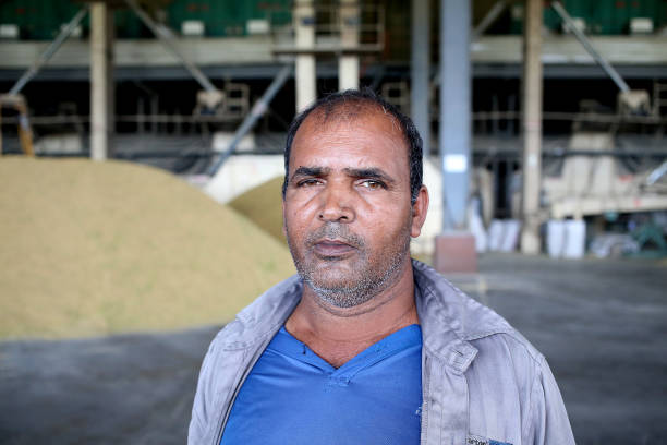 istock Agriculture: Paddy Factory in Selangor, Malaysia 1190386162