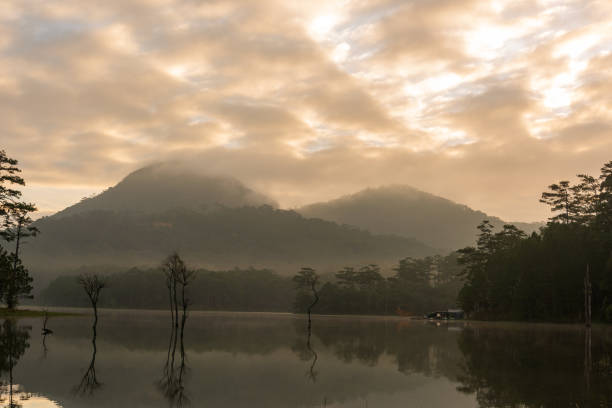réflexion nue d'arbre sur le lac de brouillard avec dramatique du ciel et des nuages au lever de soleil - mountain nature abstract forest swamp photos et images de collection