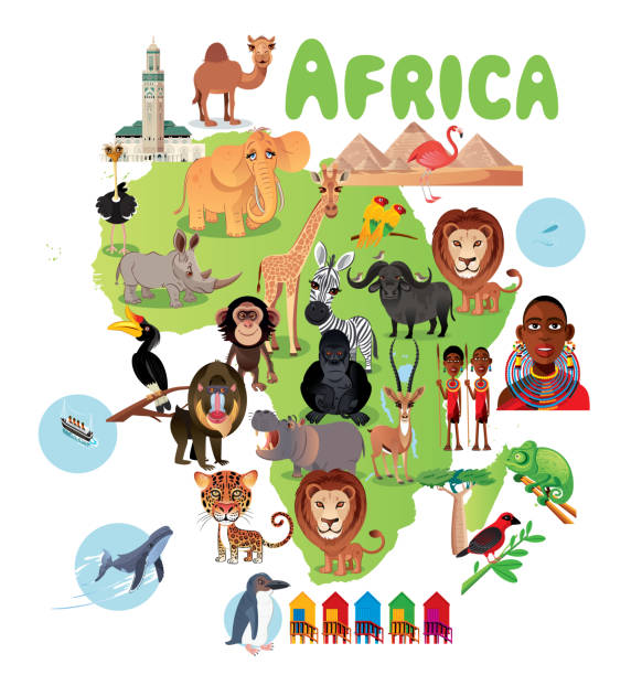 afrika karte - nashornvogel stock-grafiken, -clipart, -cartoons und -symbole