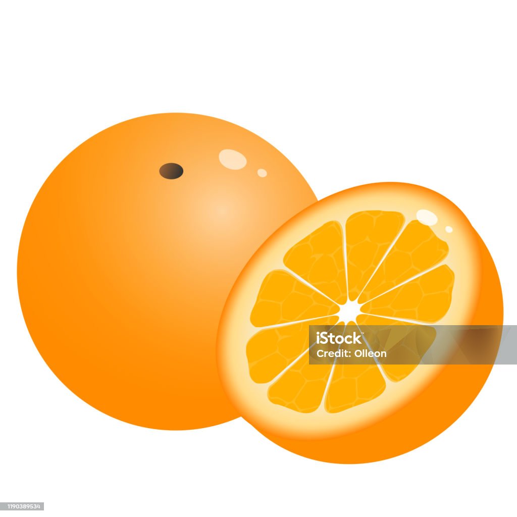 Hình Ảnh Màu Của Màu Cam Hoạt Hình Trên Nền Trắng Thành Quả Hình ...