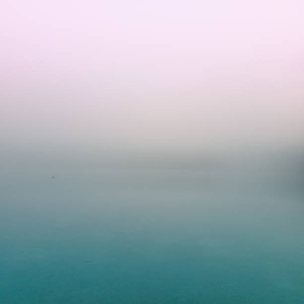 istock Misty fog over pond at sunrise 1190392860