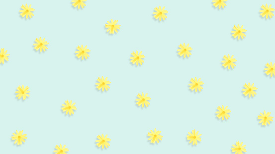 Yellow Spring Flowers Background Top View Minimalist Flower Background  Bright Blue Color Tiny Cute Yellow Daisies Flat Lay Pattern Composition  Nature Decoration Elements Bright Pastel Colors Stock Photo - Download  Image Now -