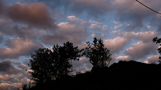 Oak tree on a hill silhouette, winter sunset