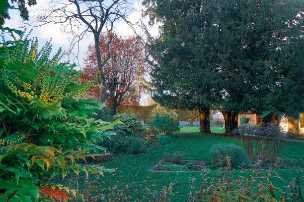 istock Garden in autumn 1190394658