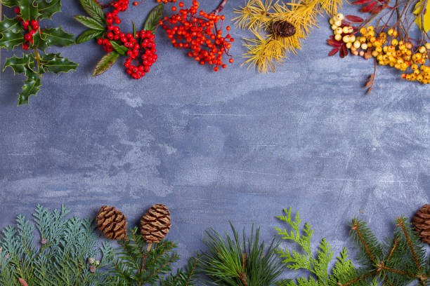 istock Layout made of Christmas tree branches, red berries and pine cones. Mockup, flat lay. New Year winter season concept 1190396068