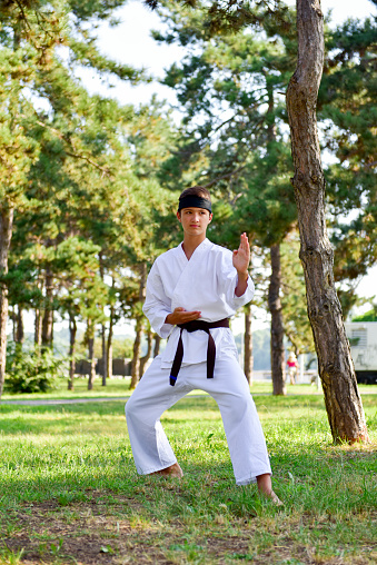 Young guy practicing karate in the park