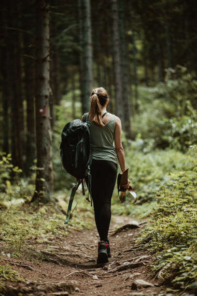 Young female hiker in the woods and exploring the forest.Female hiker with hiking equipment in the forest by herself. stock photo