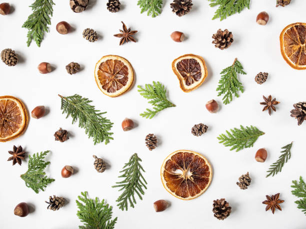 Flat lay creative natural Background of parts plants and spices. Thuja, cones, dry orange slices, spices on white background. Top view Flat lay creative natural Background of parts plants and spices. Thuja, cones, dry orange slices, spices on white background. Top view thuja orientalis stock pictures, royalty-free photos & images