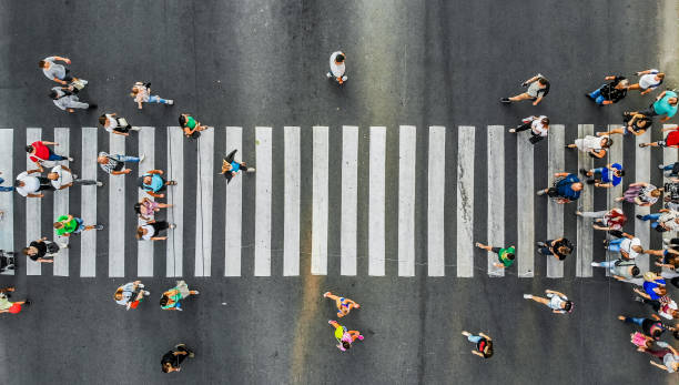 空中。シマウマ横断歩道の歩行者。上のビュー。 - zebra crossing ストックフォトと画像