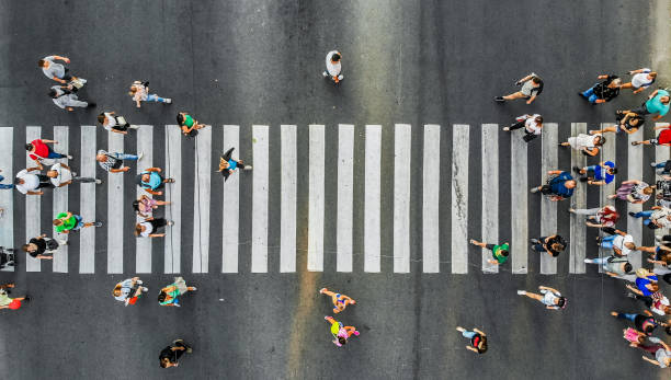 Aerial. Pedestrians on a zebra crosswalk. Top view. Aerial. Pedestrians on a zebra crosswalk. Top view. zebra crossing photos stock pictures, royalty-free photos & images