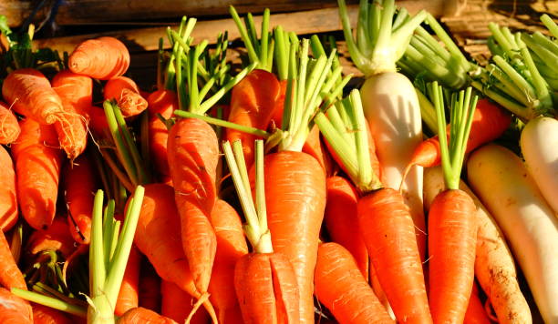 frische bio-erbstück karotten auf dem bauernmarkt - carotin stock-fotos und bilder