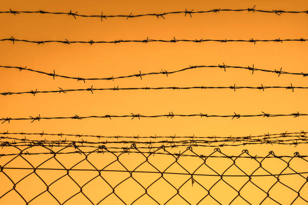 istock Copy space of iron barbed wire fence on sunset sky abstract background. 1190412549