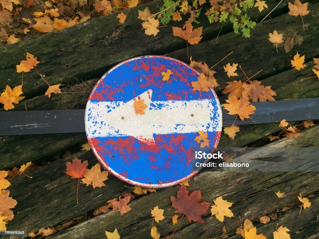 Autumnal view, foliage and street sign Autumnal view, street sign, wood and foliage on the background Autumn Stock Photo