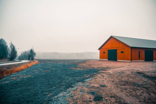 casa colonica rossa in finlandia - winter finland agriculture barn foto e immagini stock