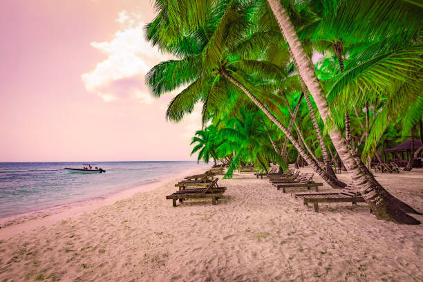 istock palm beach lounge chair 1190420879